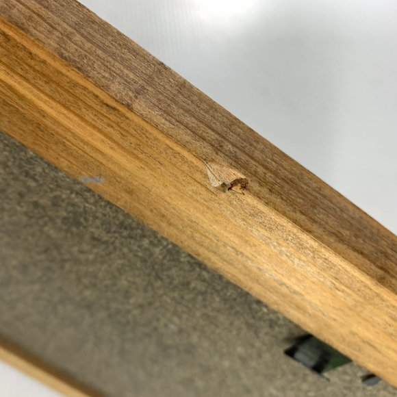 Fishermans Prayer Wood Framed 3D Fish Rustic - Picture 5 of 7